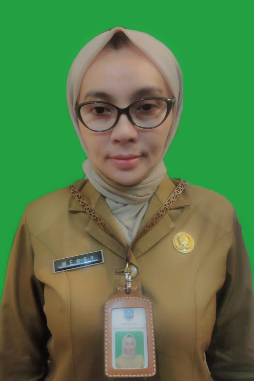 MERRY BRATA DEWI, SE, MM